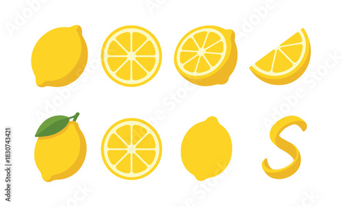Lemon collection, citrus slices and sections, flat vector illustration