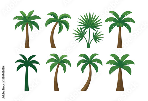 Palm tree collection. Flat vector palm tree icons