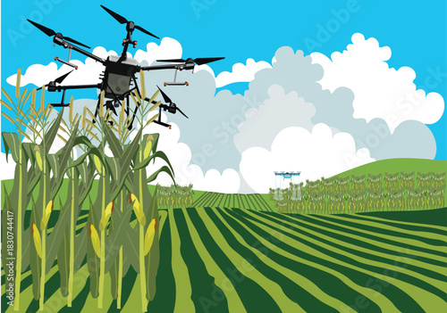 Corn plantations and drone spraying activities. Modern agricultural and plantation technology using robotics 2.eps