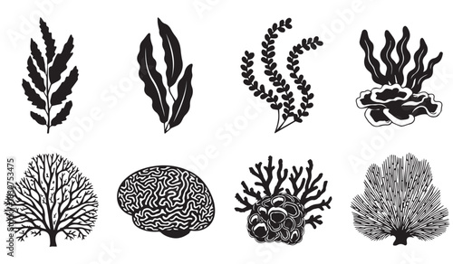"Diverse Marine Coral Silhouette Vector Set with Detailed Reef and Seaweed Illustrations"