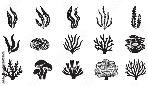 "Diverse Marine Coral Silhouette Vector Set with Detailed Reef and Seaweed Illustrations"