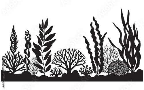 "Diverse Marine Coral Silhouette Vector Set with Detailed Reef and Seaweed Illustrations"