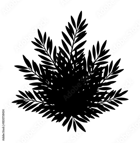 A black silhouette of a leafy plant, composed of multiple branches and leaves