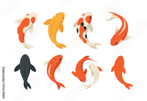 Koi fish collection, flat vector illustration, carp, aquatic design