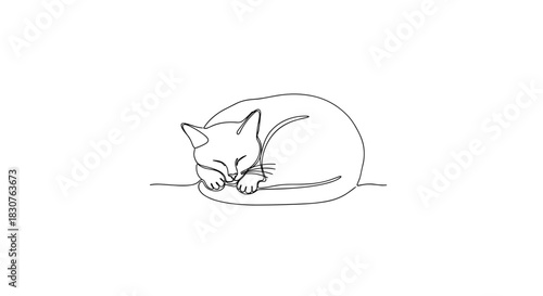Single line drawing of a curled up sleeping cat with closed eyes and curled paws in a minimalist style