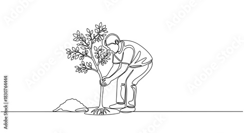 Line drawing of a person planting a tree with leaves and exposed roots next to a pile of dirt on the ground