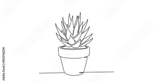 Minimalist continuous line art drawing depicting a potted succulent plant, like an aloe vera, showcasing modern botany and simple beauty.