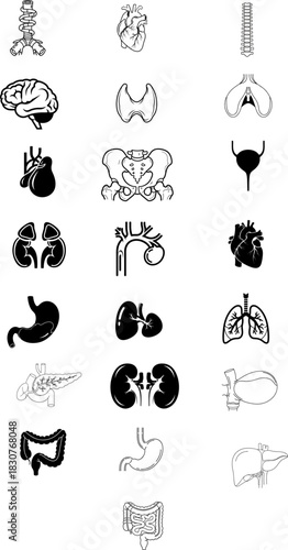 Simple black and white line icon set of human internal organs for medical and anatomical concepts