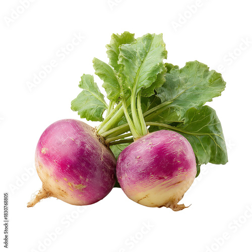 Two purple turnips with green leaves (2)