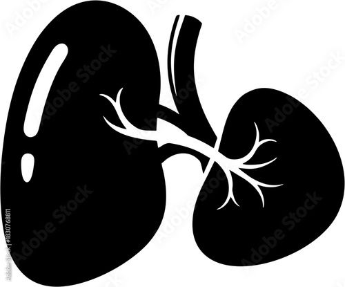 Simple black silhouette icon of human lungs, illustrating the respiratory system and pulmonary health for medical and scientific concepts