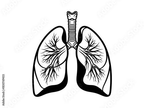 A crisp monochrome vector illustration of human lung anatomy created with bold yet clean outlines and finely detailed branching veins. Designed in a high-contrast minimalist style, featuring smooth or