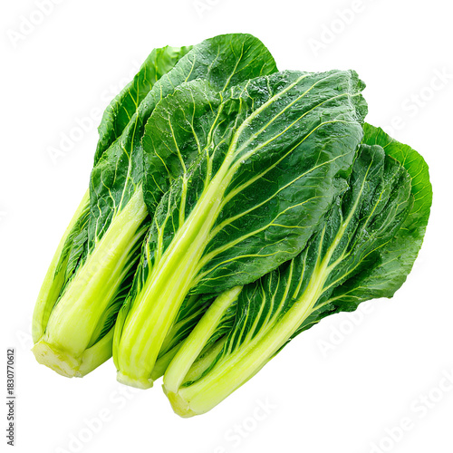 Two vibrant green bok choy leaves