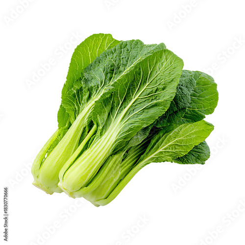 Fresh bok choy, vibrant green leaves (1)