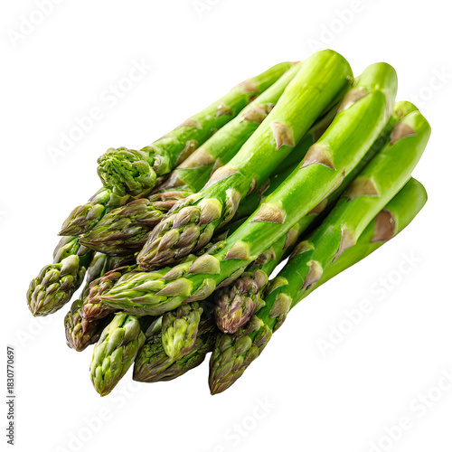 Fresh green asparagus bunch (16)