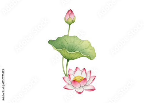 Adobe Illustrator Artwork