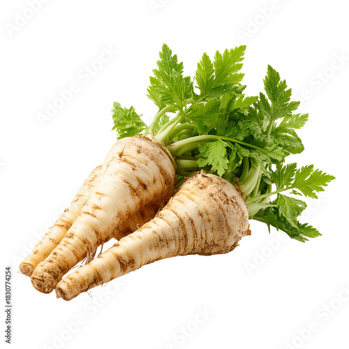 Fresh parsnips with leaves (3)