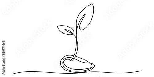 Continuous line drawing of a sprouting seed, illustrating initial growth and new life, depicting nature's renewal and ecological sustainability. Vector, illustration