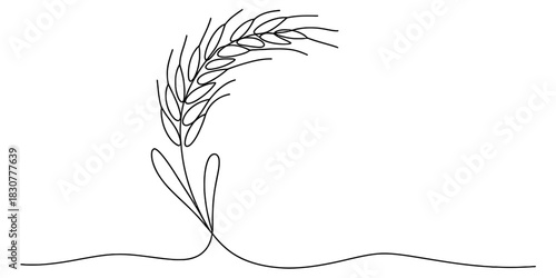 Continuous line drawing of a single wheat ear, minimalist hand-drawn design, representing agriculture, harvest, bread, and natural growth Vector, illustration
