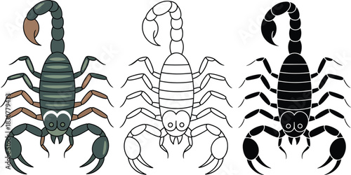 Scorpion silhouette & Outline and illustration set isolated on transparent background