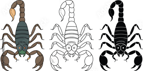 Scorpion silhouette & Outline and illustration set isolated on transparent background