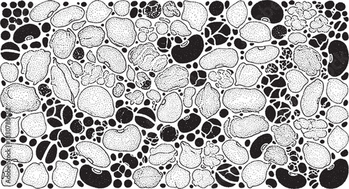 Black and White Dotted Bean Variety Illustration Seamless Pattern Design