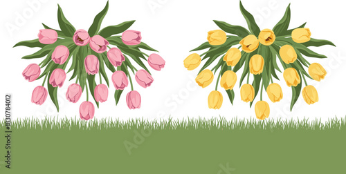 Hanging pink and yellow tulip bouquets with green leaves and grass border vector illustration for spring season background