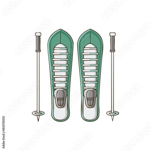 Pair of green snowshoes with white laces and ski poles on a white background