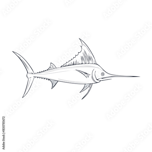 Elegant line art drawing of a blue marlin fish swimming in profile view