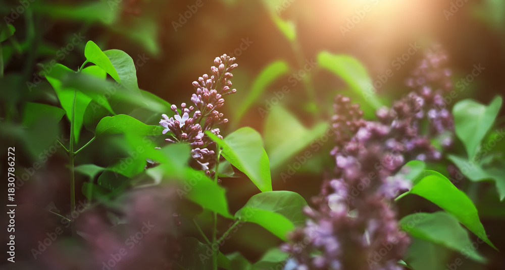 Naklejka premium The first flowers against the background of green spring. Spring bloom.