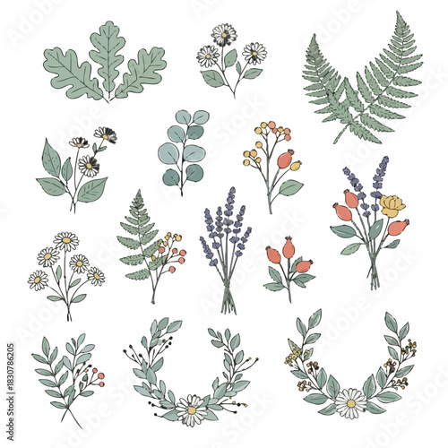 A collection of hand-drawn vintage botanical illustrations, including various flowers, leaves, berries, and wreaths on a white background.