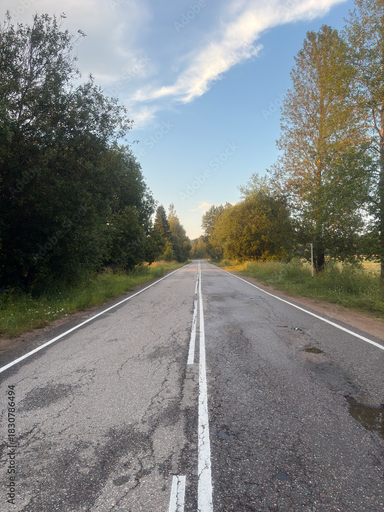 Fototapeta premium autumn mood