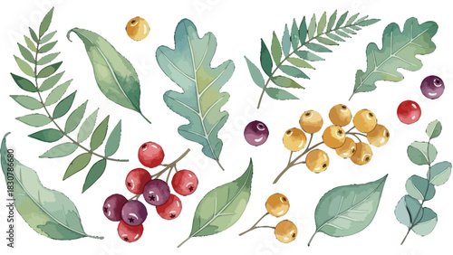 Watercolor illustration set of various green leaves and colorful berries, depicting a botanical collection.