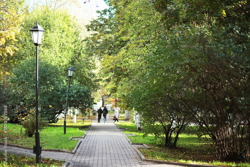 Obraz premium city park without people on an autumn day, bright rays of the sun shine through the crowns of maple trees