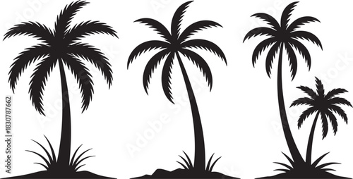 Three Black Palm Trees With Grass On White Background Keywords: palm tree, coconut tree, tropical