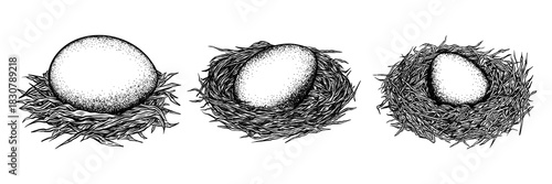 Set of a nest of straw with an egg. Vector black ink isolated illustration in sketch line style