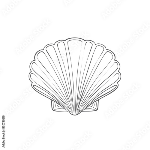 Outlined seashell graphic. Scalloped marine shell illustration, oceanic element.