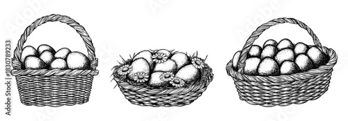 Set of wicker basket with straw, eggs and chamomile flowers. Vector black ink isolated illustration in sketch line style