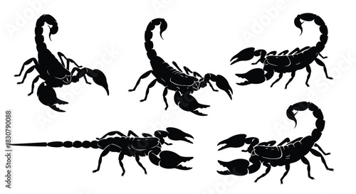 Silhouettes of scorpions in dynamic poses, representing danger and strength