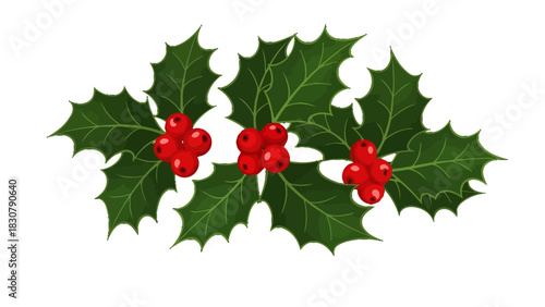 Three vibrant green holly leaf clusters with bright red berries, arranged horizontally on a white background, symbolizing winter holidays.