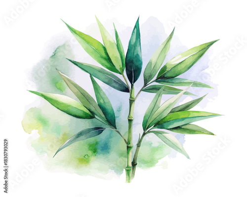 Bamboo Leaves Watercolor illustration 