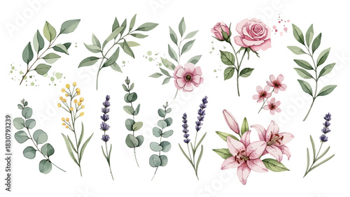 A beautiful collection of watercolor illustrations featuring various flowers and leaves like roses, lilies, and eucalyptus on a white background.