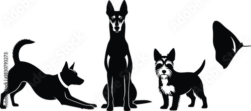 Collection of vector black silhouettes showing dogs of different breeds in various poses like sitting standing and stretching on white