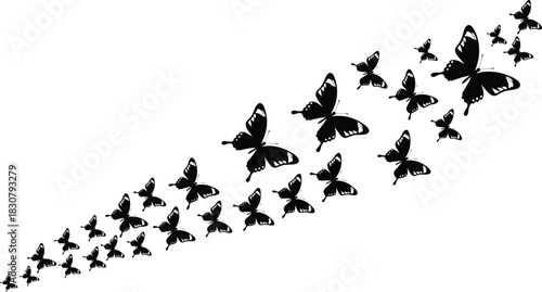 Black silhouette vector illustration of a swarm of butterflies flying upwards in a curved path isolated on white background