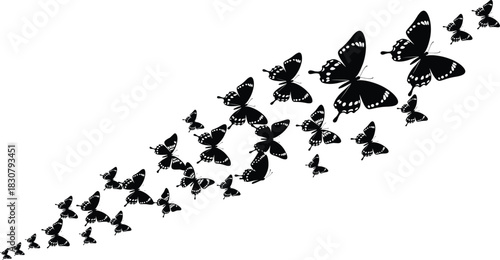 Flock of black butterfly silhouettes flying diagonally upwards vector illustration isolated on white background for tattoo or spring design
