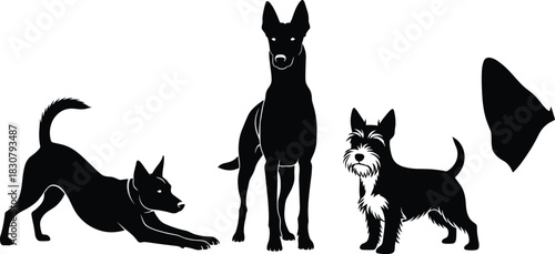 Set of cute dog silhouettes vector illustration, playful shepherd and terrier breeds isolated on white background for pet logo design