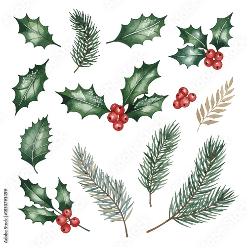 Detailed watercolor illustrations of various Christmas foliage elements including holly leaves, red berries, and pine branches on a white background.