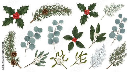A collection of festive winter greenery including holly, pine branches, eucalyptus, and mistletoe isolated on a white background.