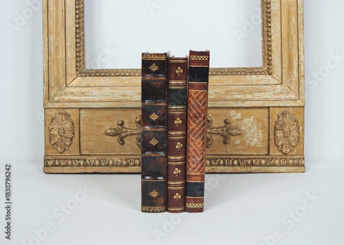 Antique leather books with gilding