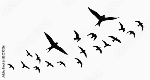 Silhouette of birds flying in formation against a white background