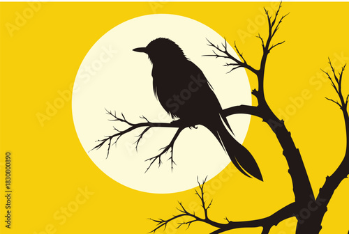 Background, Bird, Branch, Tree, Leaves, Flowers, Book, Poetry, Cover, Art, Artwork, Vector

